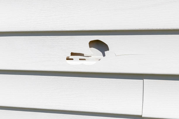 Best Same-Day Junk Removal Services  in Trappe, PA